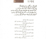 amir-khusraw-2-1
